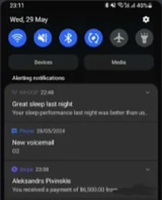 Screenshot shared by Alex Pivinskis