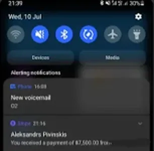 Screenshot shared by Alex Pivinskis