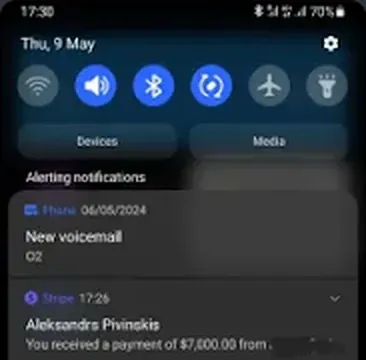Screenshot shared by Alex Pivinskis